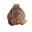 who?